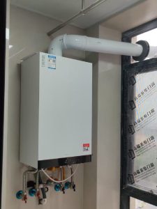 菲斯曼B1JG冷凝炉（示意图）