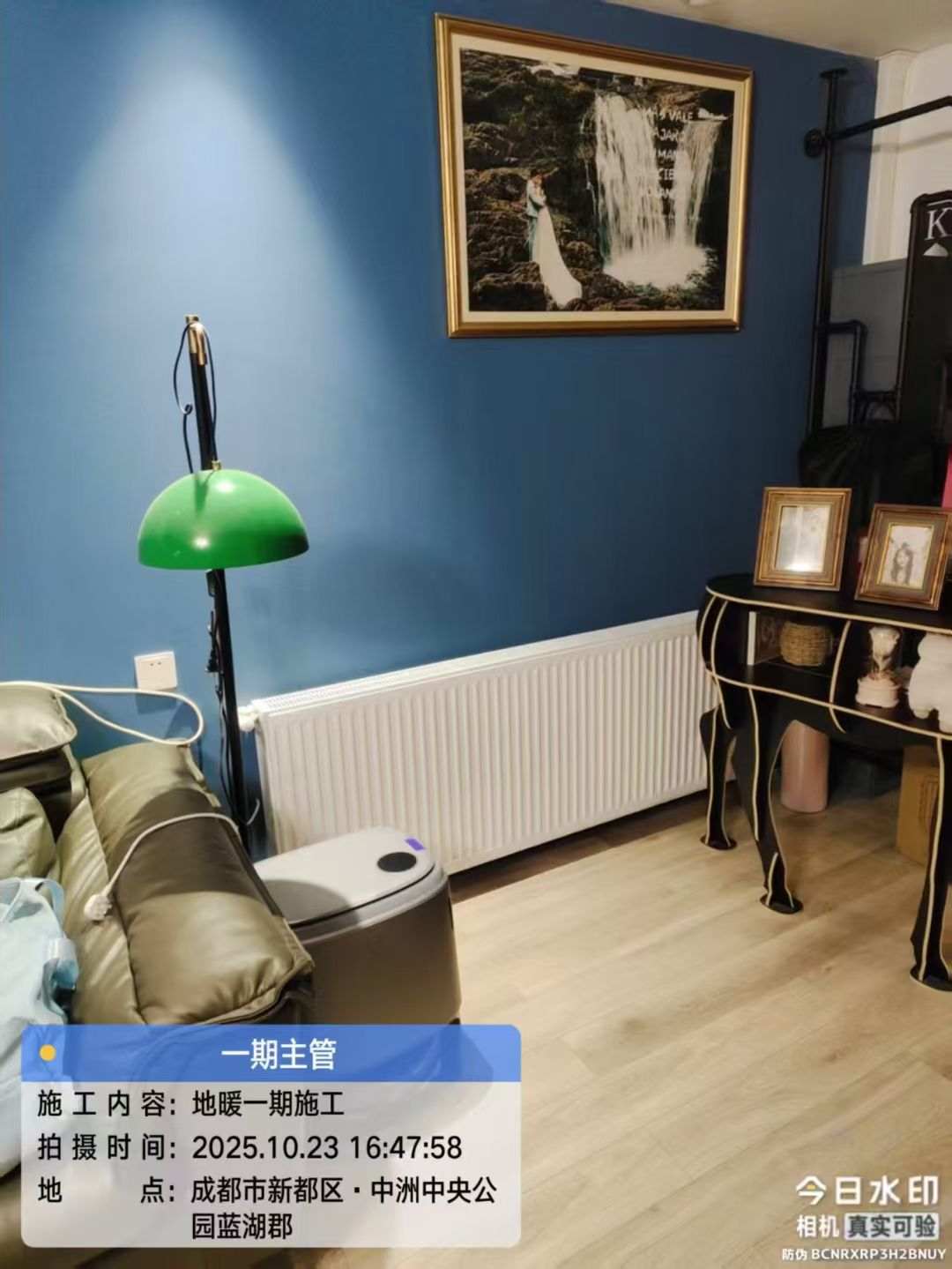成都市新都区中洲中央公园蓝湖郡-李老师-客厅明装暖气片安装实景