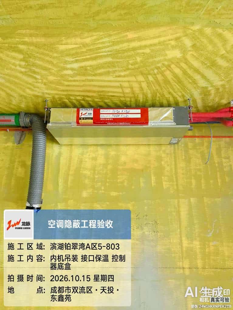 天投滨湖铂萃·监理验收实拍