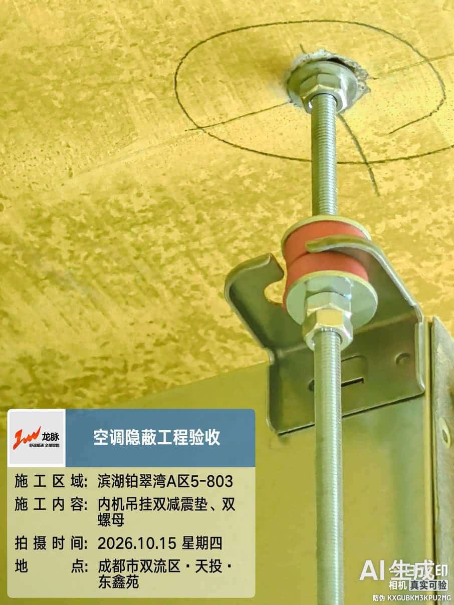 天投滨湖铂萃·监理验收实拍