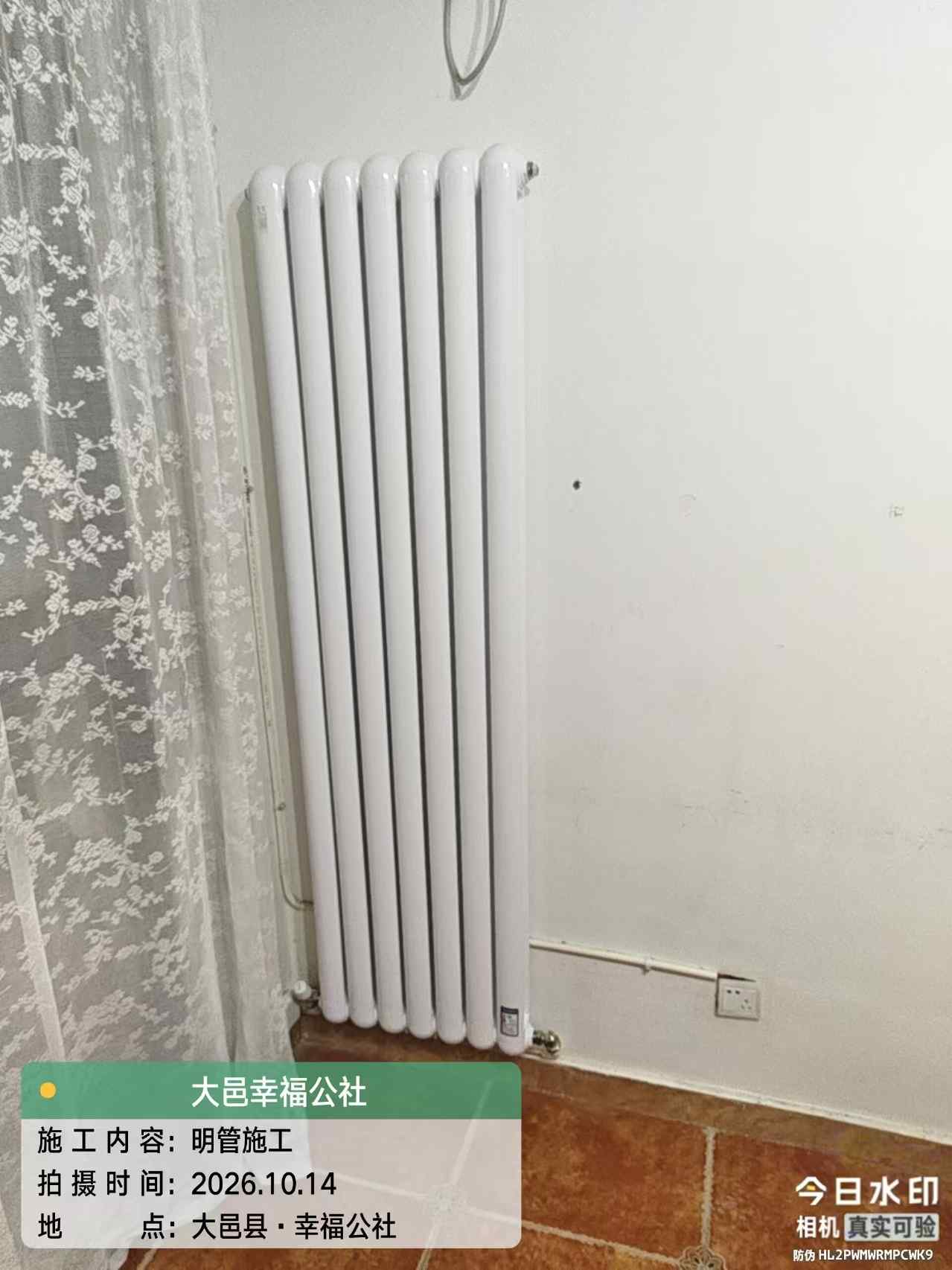 大邑青霞镇幸福公社-杨老师-书房柱式明装暖气片
